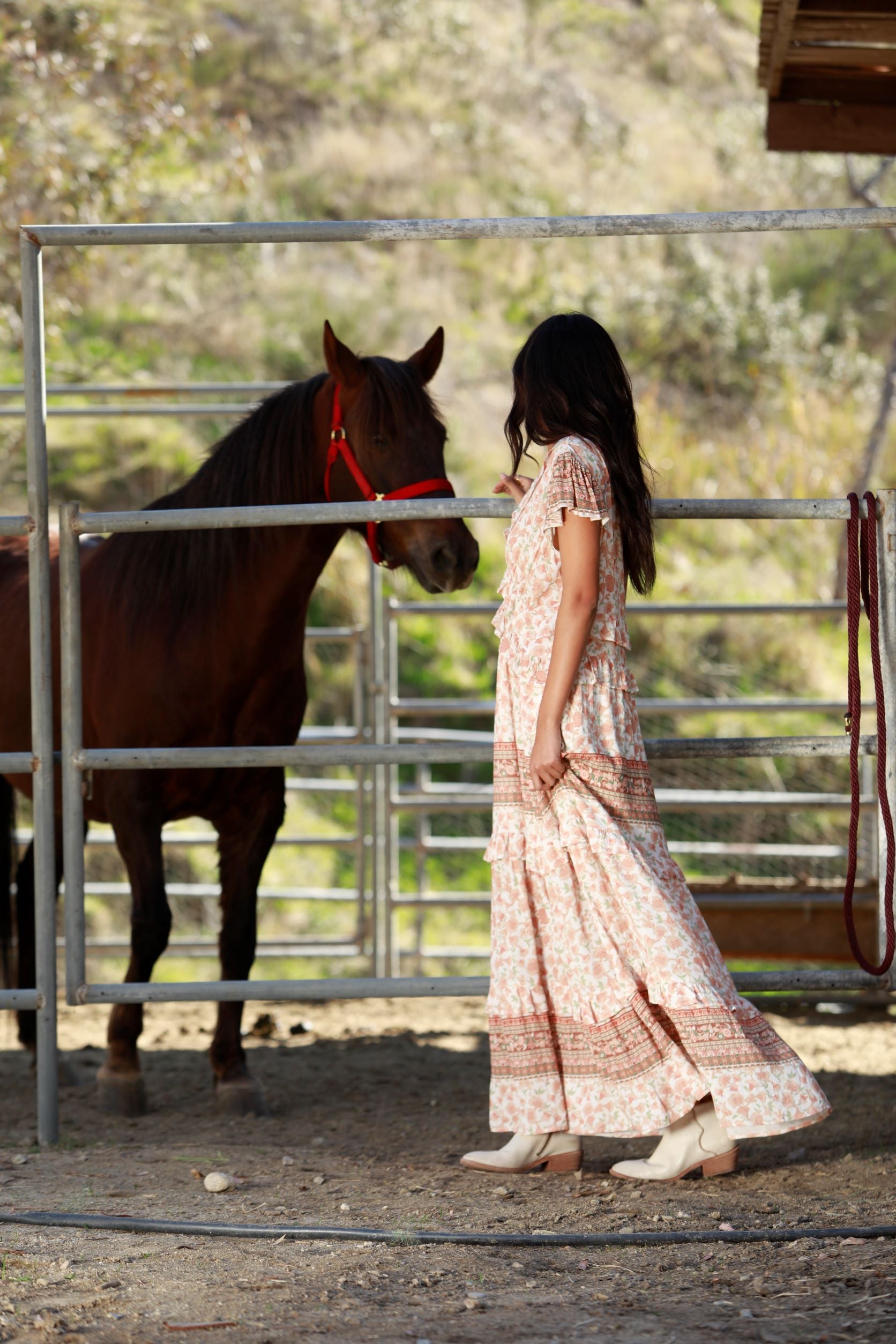 MAXI – A Collective Story MAXI – A Collective Story